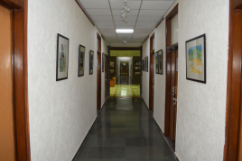 Image Gallery